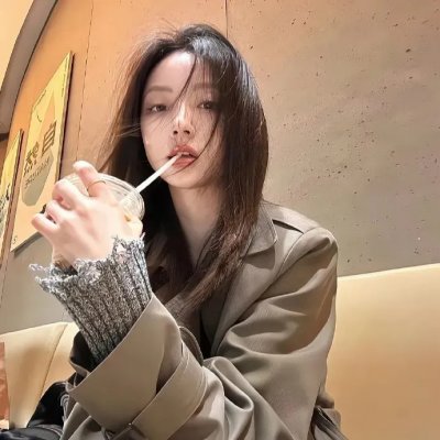 影子拳手